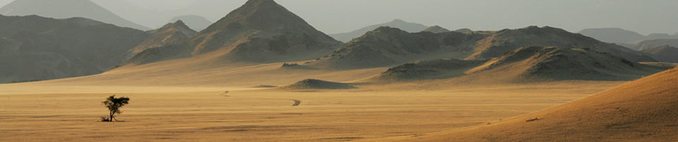 Kupenda Safaris - Decor