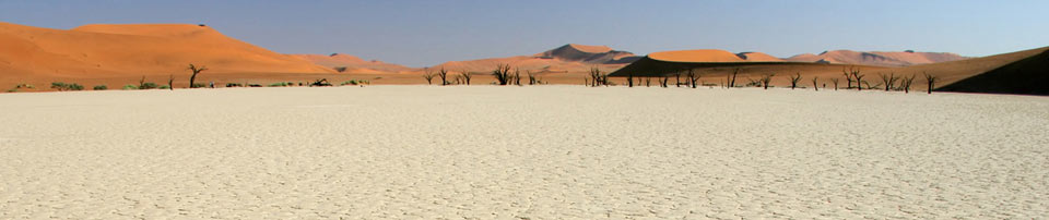 Kupenda Safaris - Decor