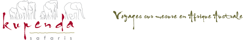 Kupenda Safaris